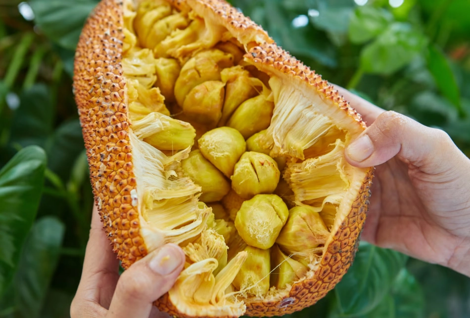 佛教 夢見 波羅蜜 佛教 夢見 波羅蜜