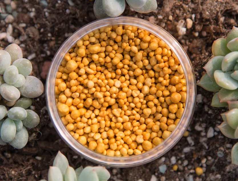 多肉肥料成分