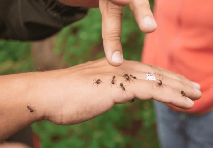 夢境心理學 夢境心理學