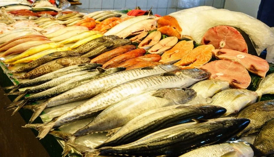 夢見買魚 心理學