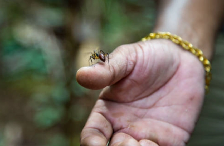 夢境心理學 夢境心理學
