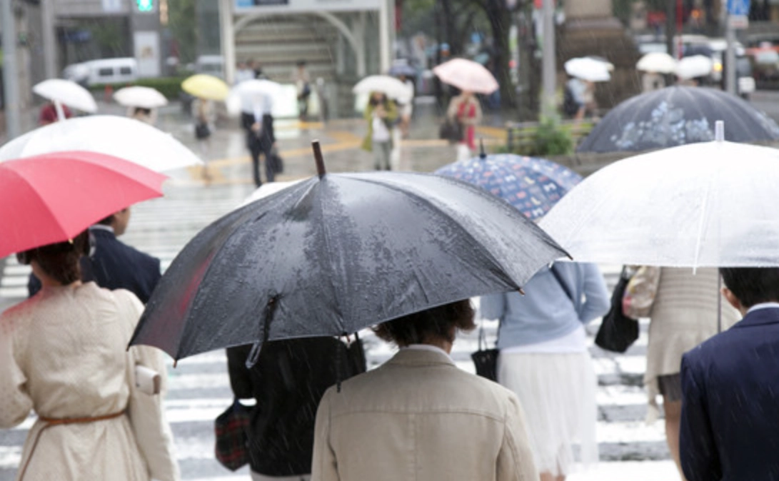 下雨撐傘夢解析 下雨撐傘夢解析