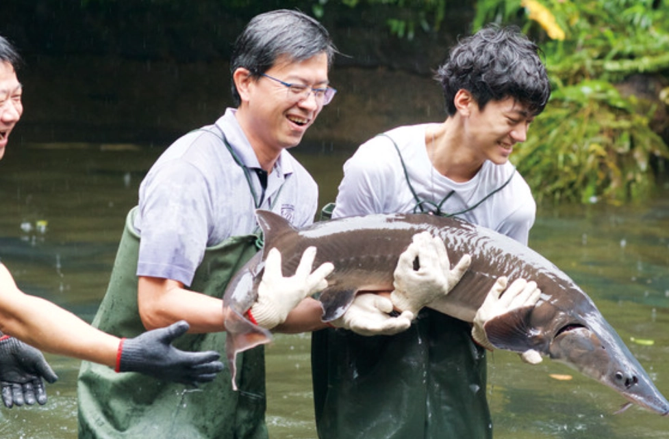 夢境解析 夢境解析