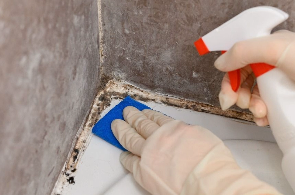 牆壁發霉原因 牆壁發霉原因