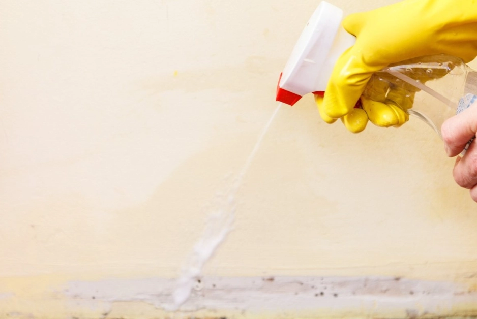 紅酵母菌浴室功效