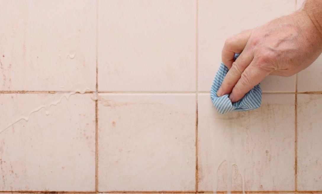 紅酵母菌浴室功效