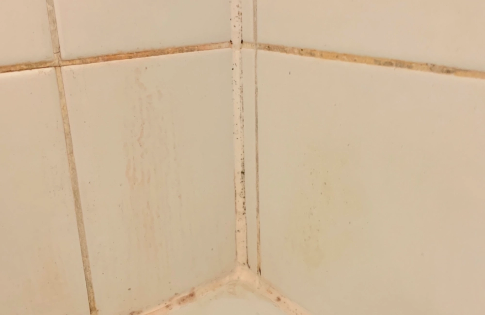 紅酵母菌浴室功效