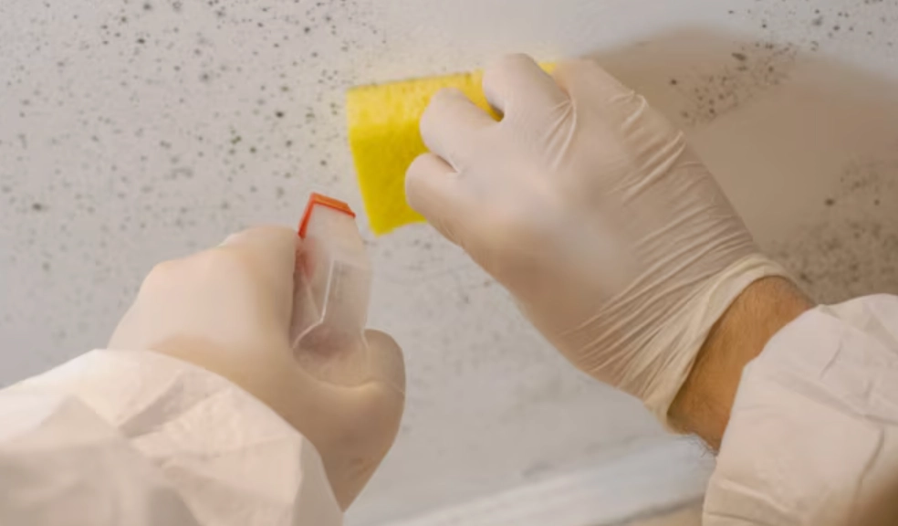 牆壁發霉處理 牆壁發霉處理