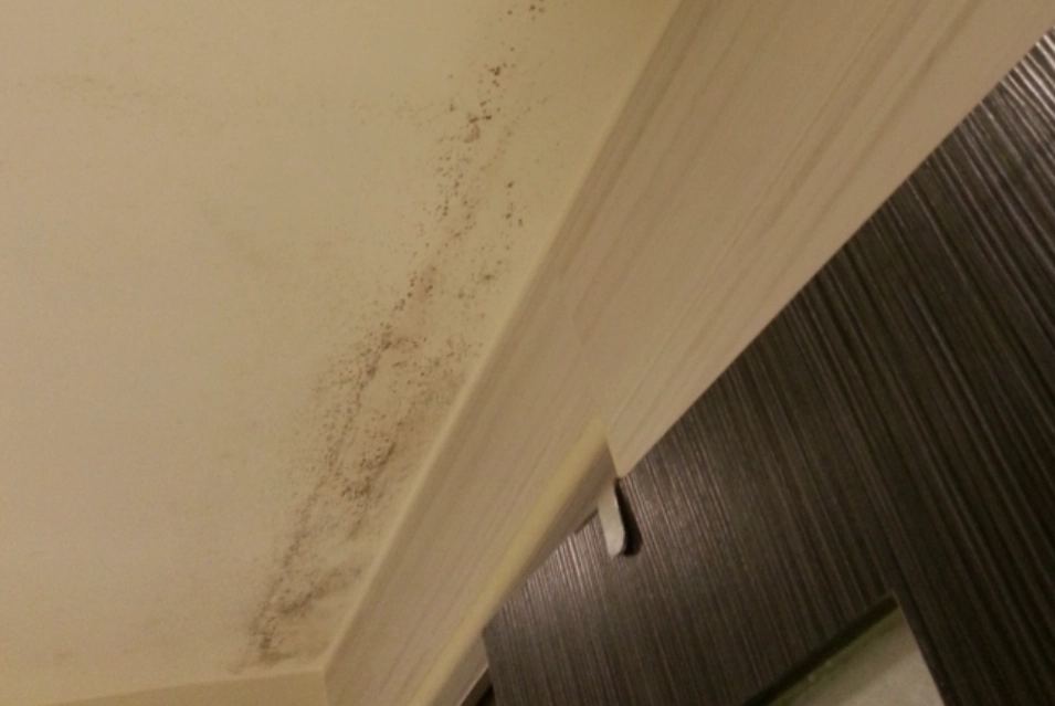 天花板發霉處理