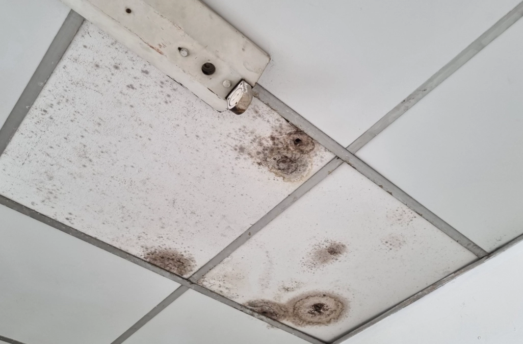 天花板發霉 酒精