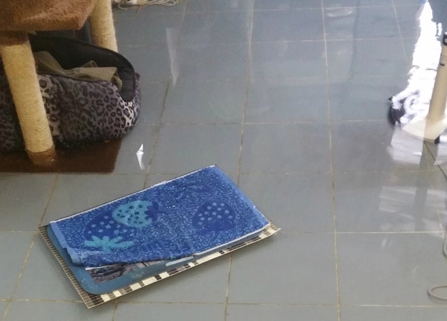 夢見家裡淹水 化解