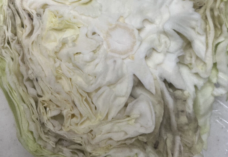 高麗菜壞掉