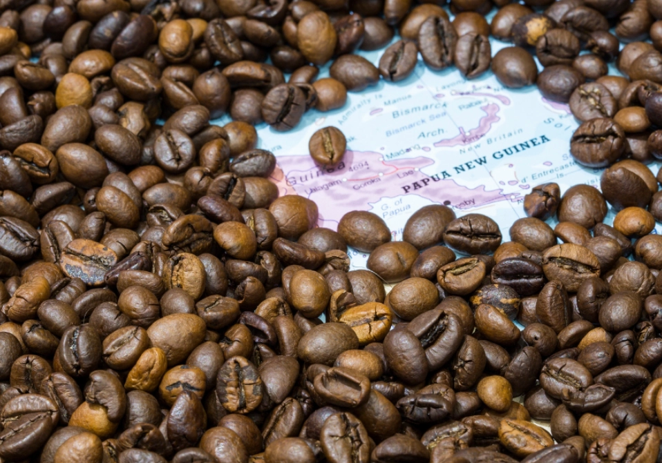 新幾內亞咖啡推薦