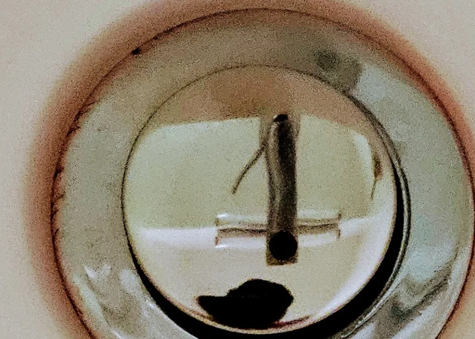 紅酵母菌發酵浴