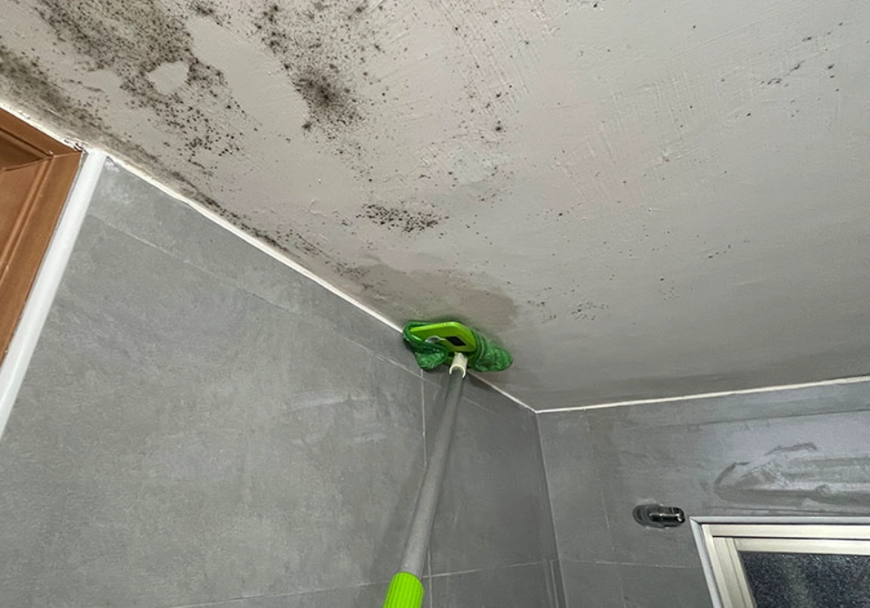 浴室除霉方法