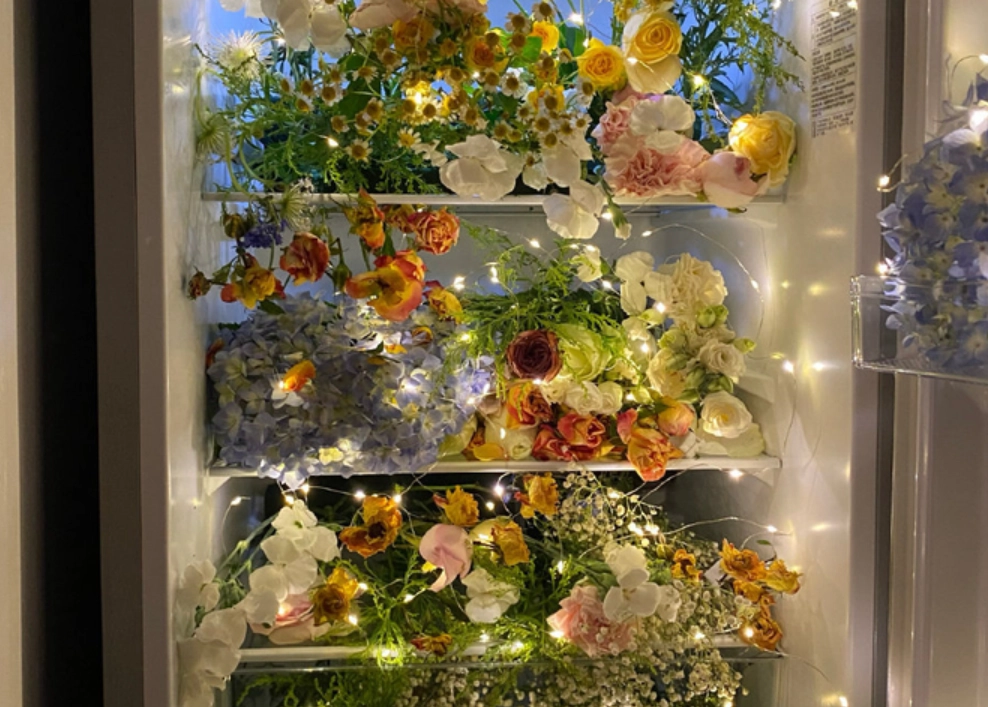 冰箱保存鲜花 冰箱保存鲜花