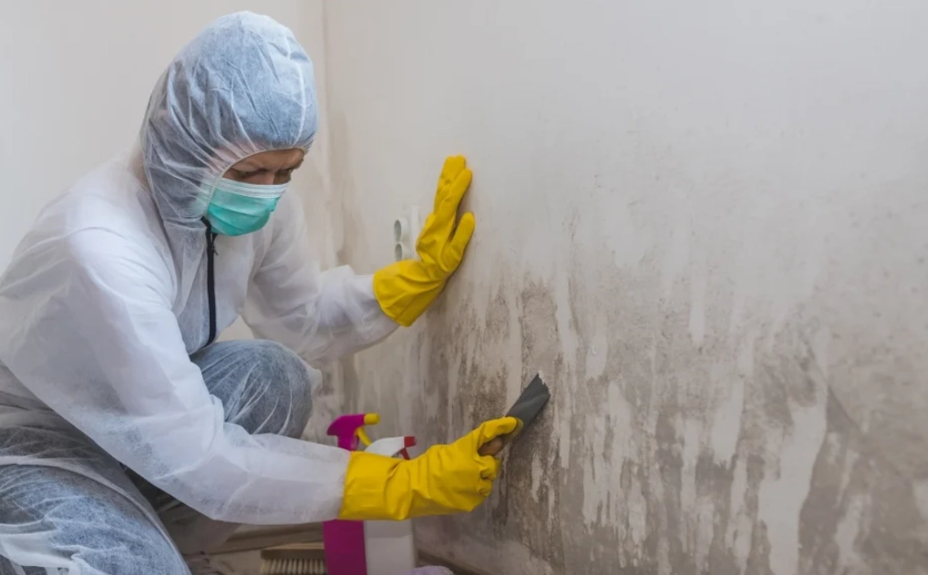 牆壁發霉處理 牆壁發霉處理
