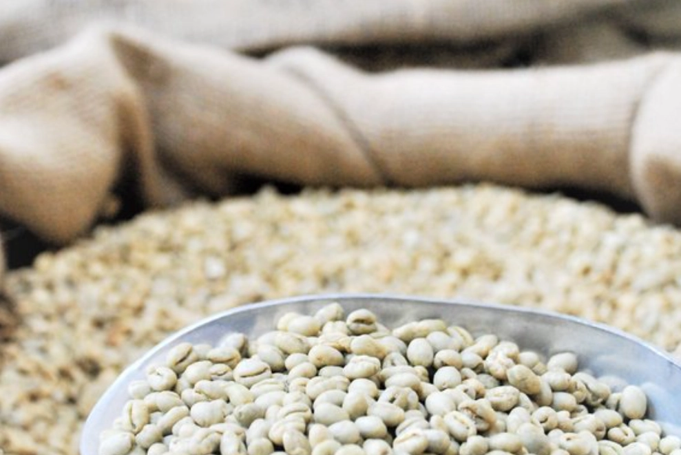 咖啡豆烘焙 咖啡豆烘焙