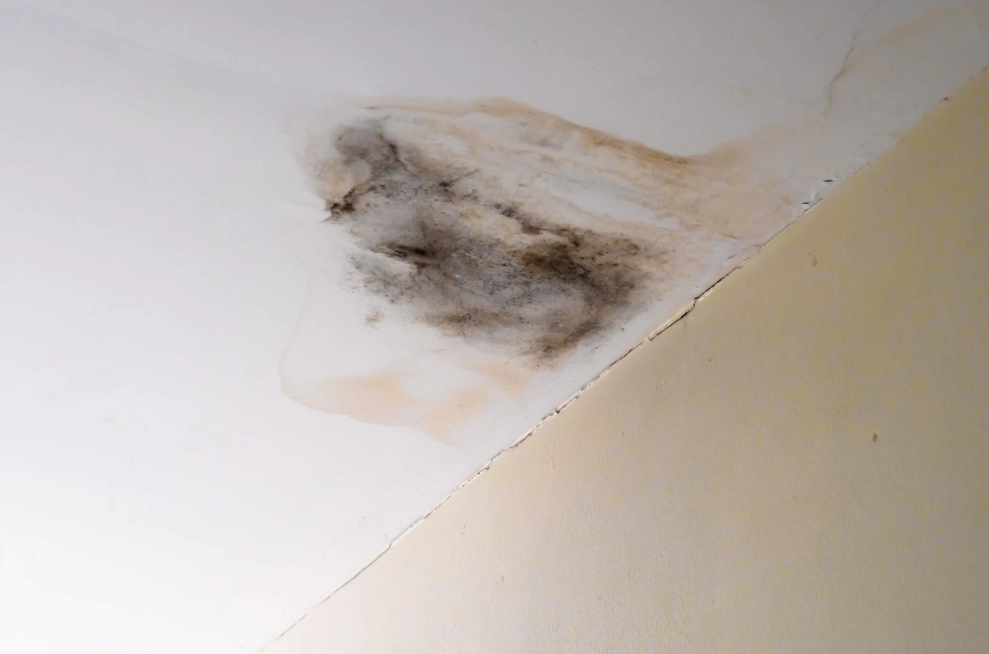 天花板發霉 酒精