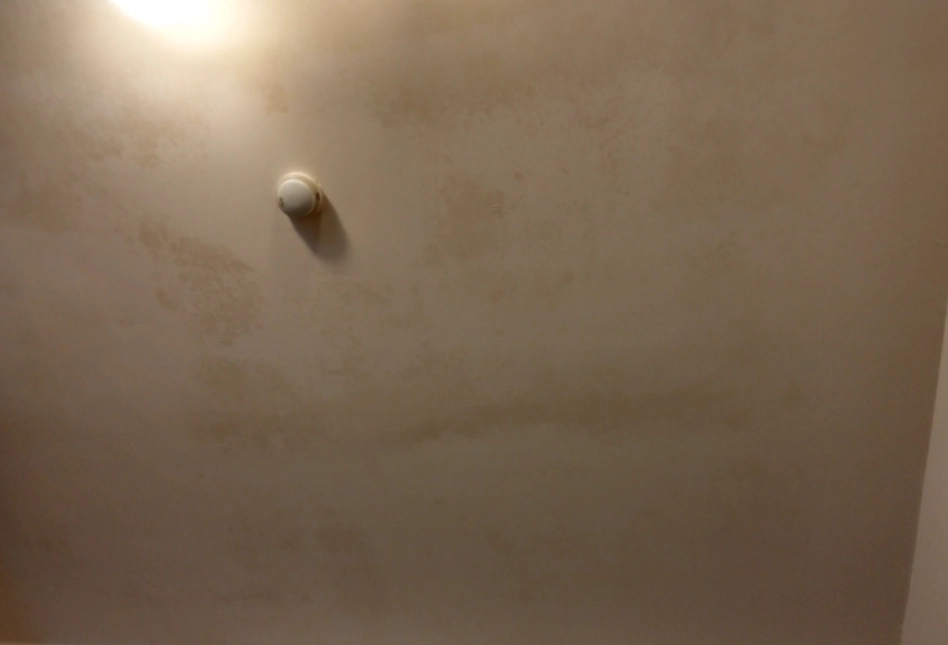 天花板發霉原因