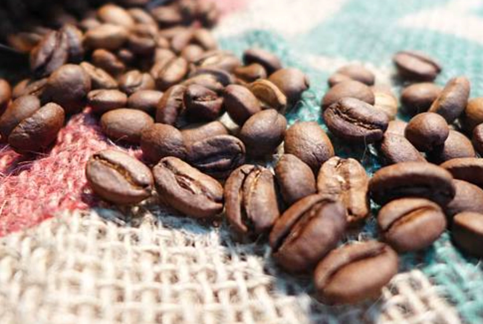 新幾內亞咖啡推薦