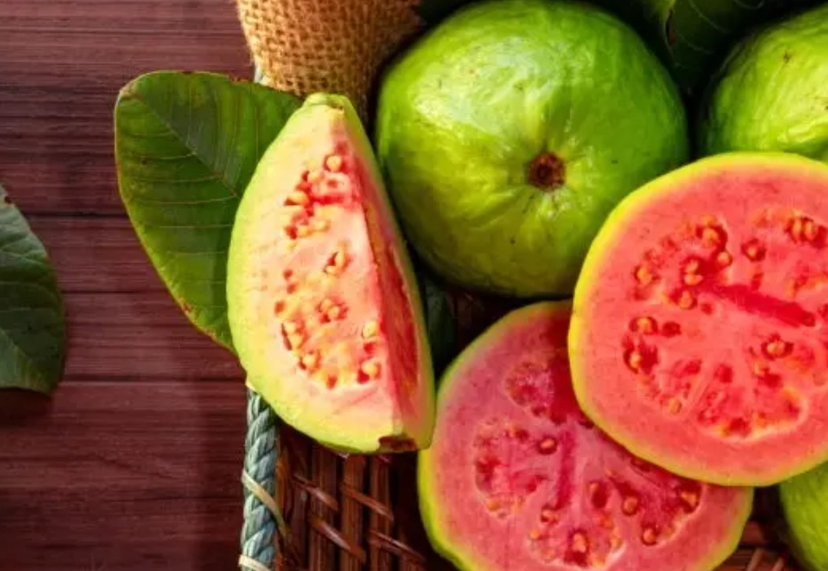 懶人果樹 懶人果樹