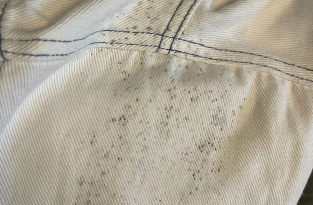 發霉衣服清潔 發霉衣服清潔