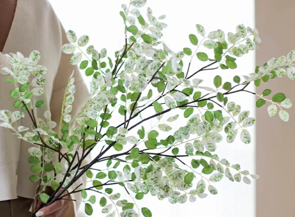 吊鐘 盆栽 種植