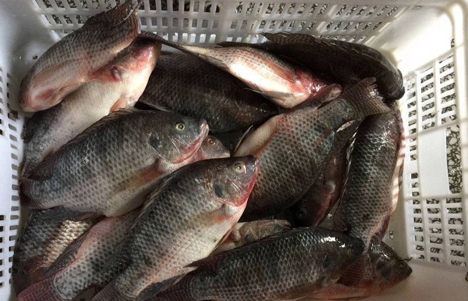 台灣海釣釣點 台灣海釣釣點