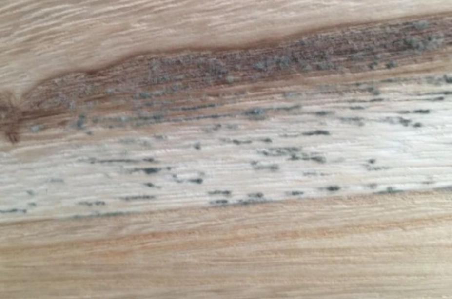 木頭除霉方法 木頭除霉方法