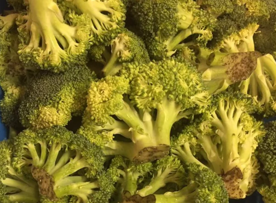 花椰菜變黃 花椰菜變黃