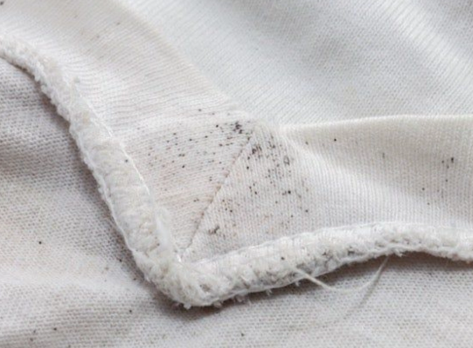 發霉衣服清潔 發霉衣服清潔