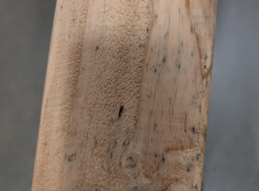 漂白水除霉方法