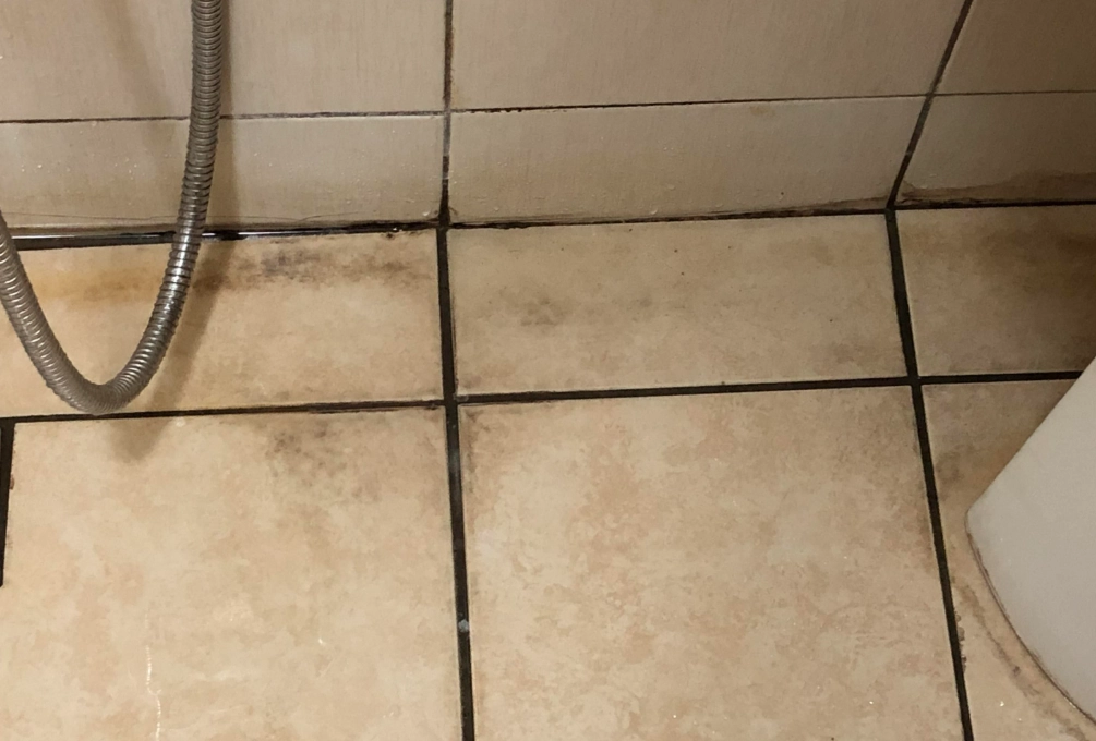 浴室磁磚縫隙變黃