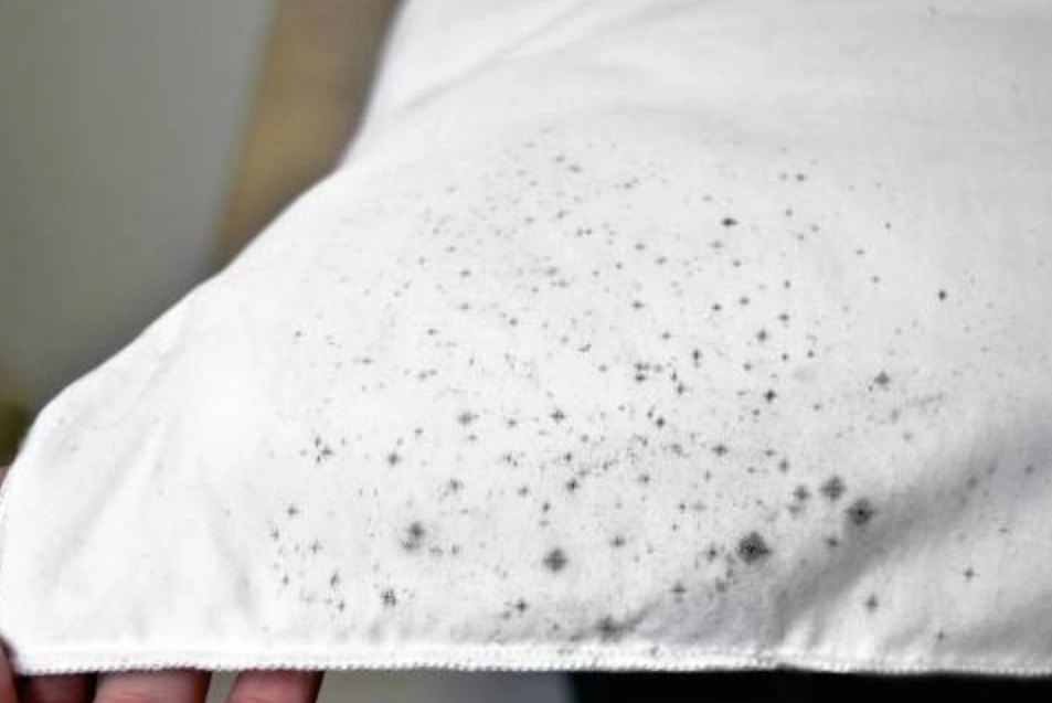 霉菌去除方法 霉菌去除方法