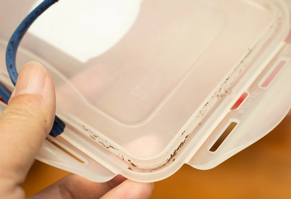 塑膠發霉 塑膠發霉