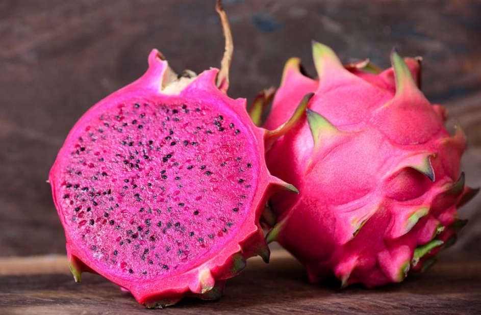 低維護果園 低維護果園