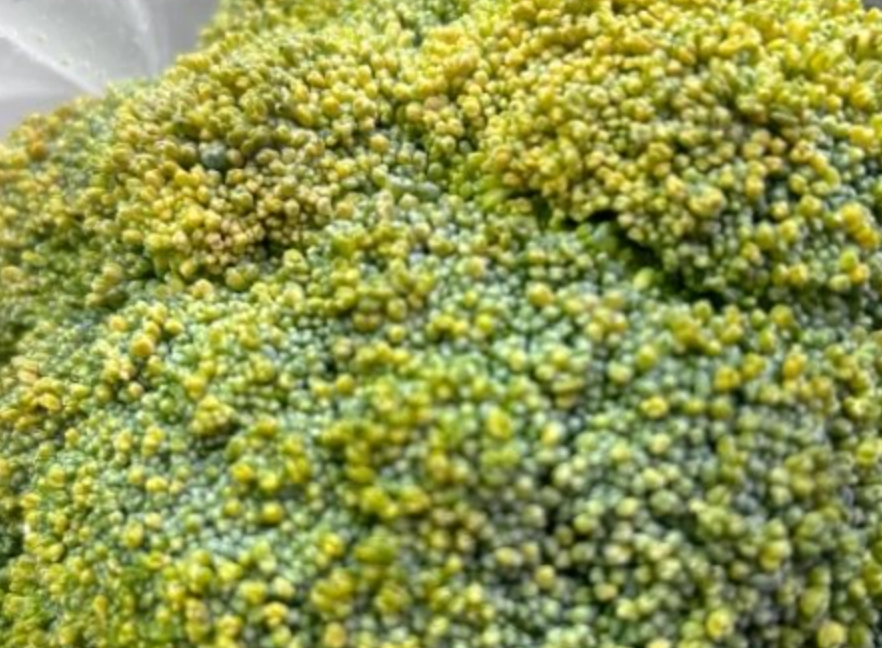 花椰菜保存 花椰菜保存