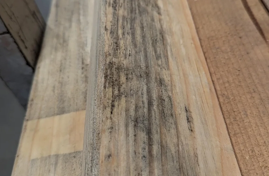 木材發霉處理