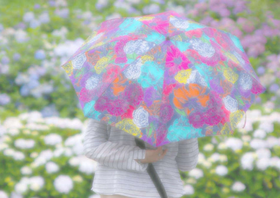 夢見傘 使用心得 夢見傘 使用心得