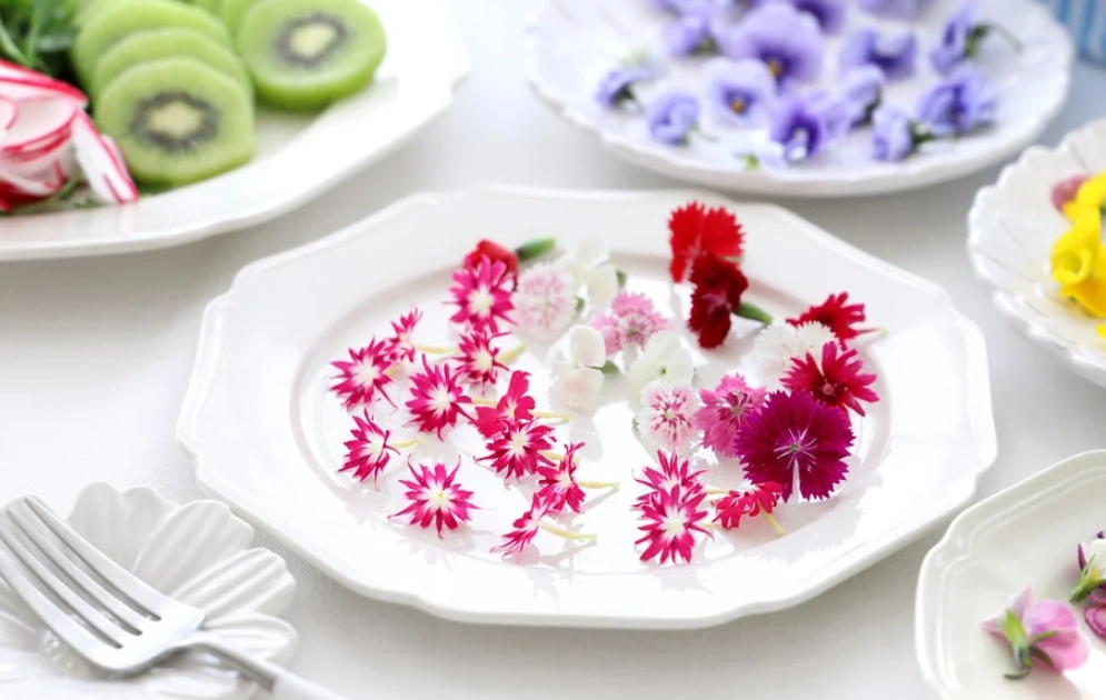 食用花食譜