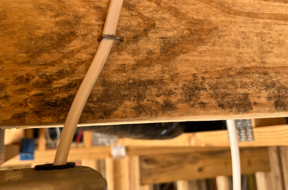 漂白水除霉方法