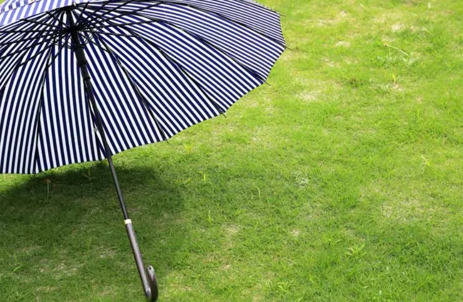 夢見傘 使用心得 夢見傘 使用心得