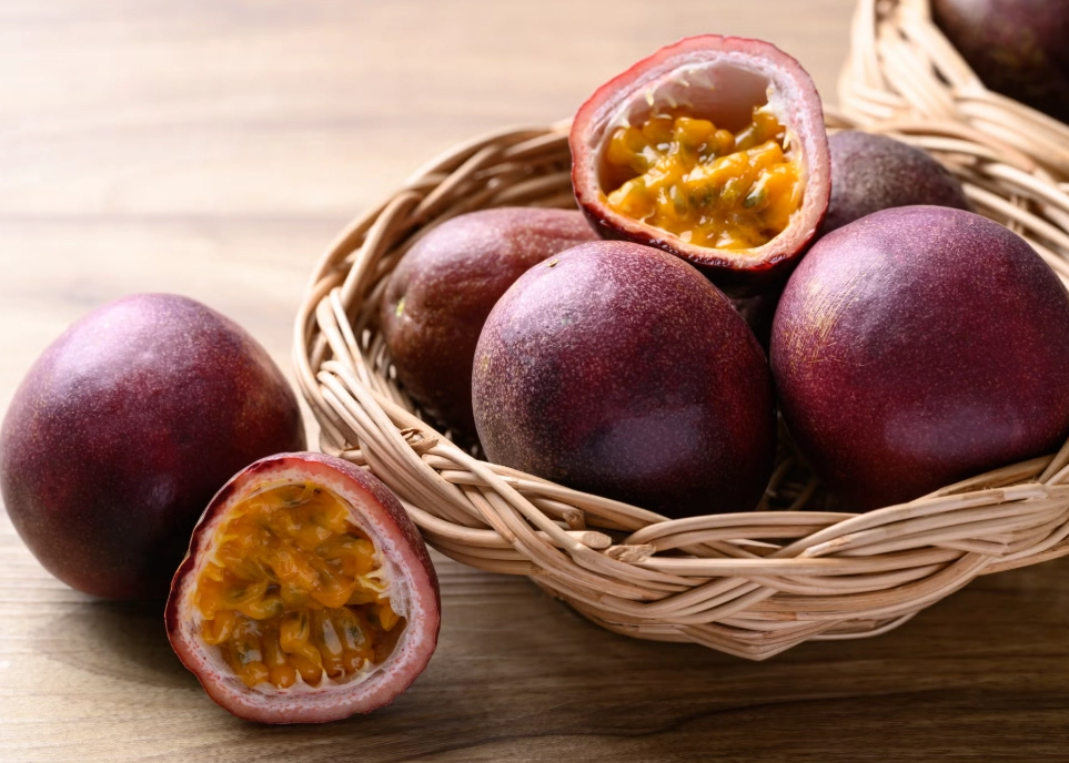 懶人果樹 懶人果樹