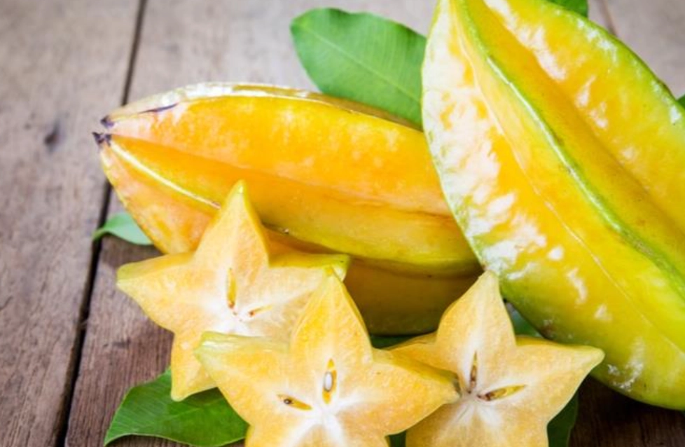 低維護果園 低維護果園