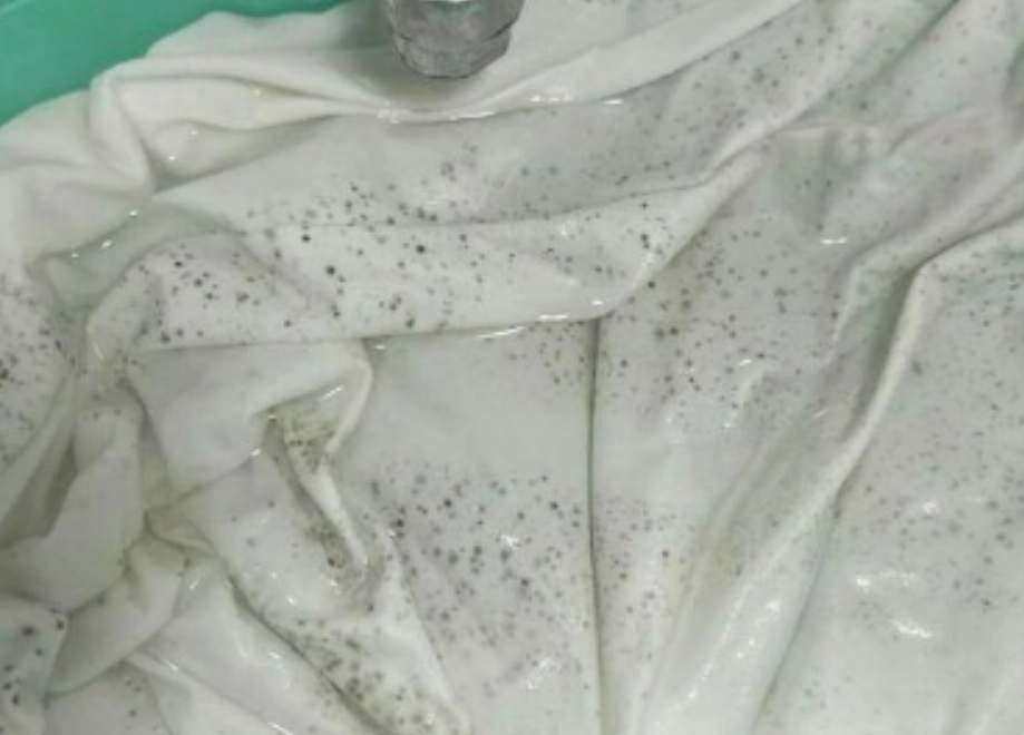 霉菌去除方法 霉菌去除方法