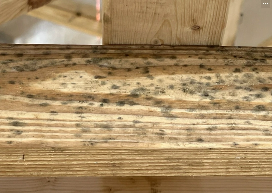 漂白水除霉方法