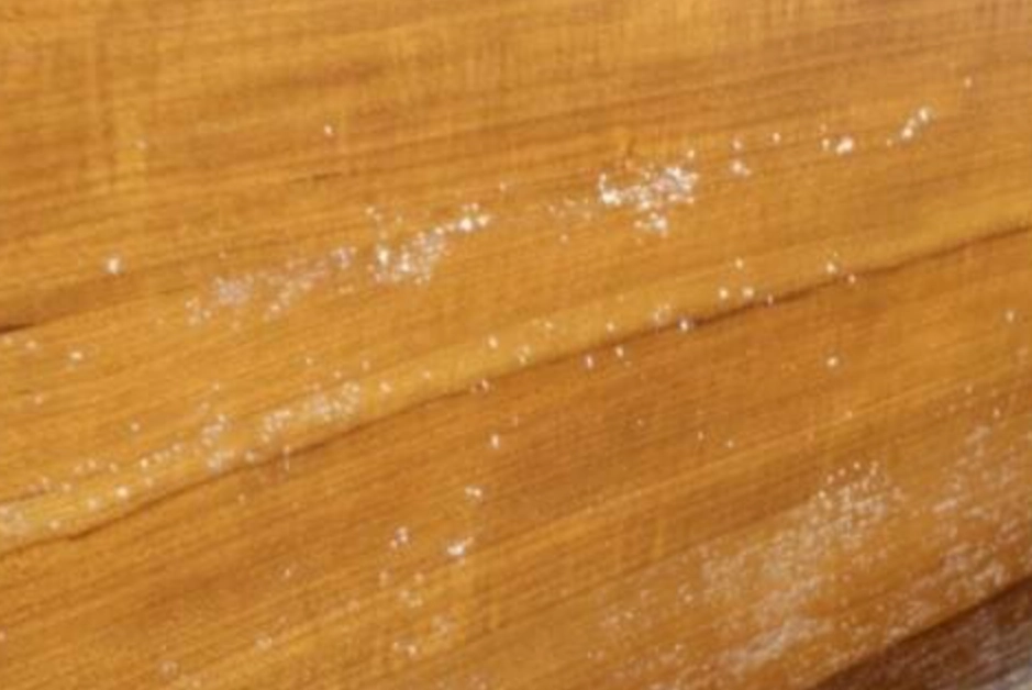 預防木頭發霉 預防木頭發霉