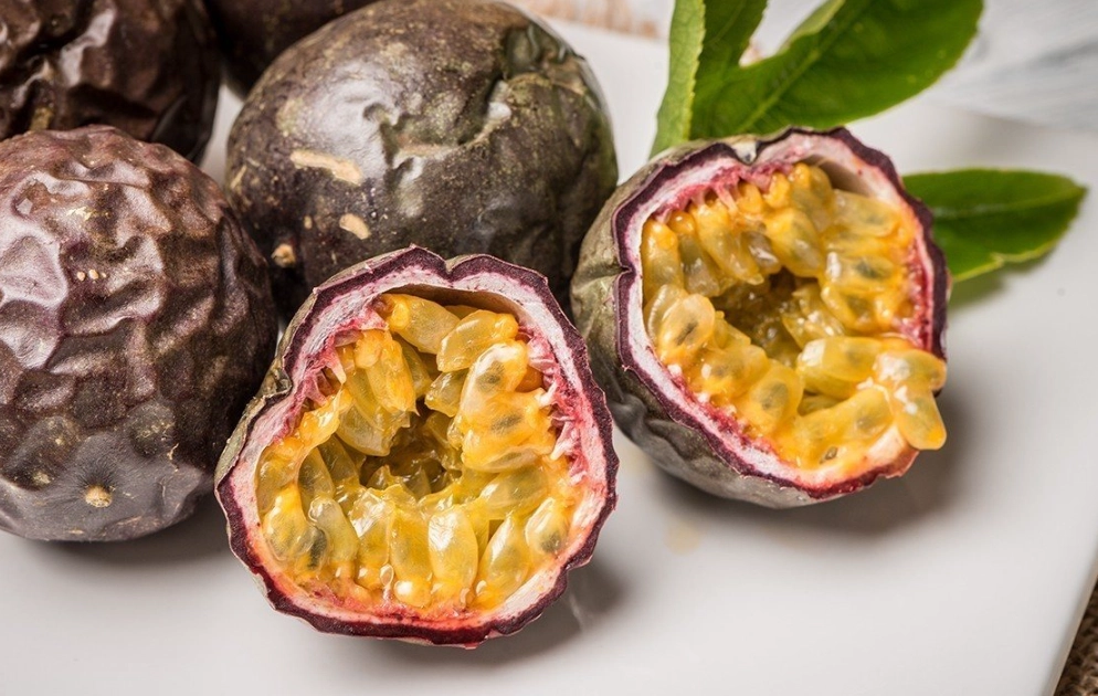 懶人果樹 懶人果樹