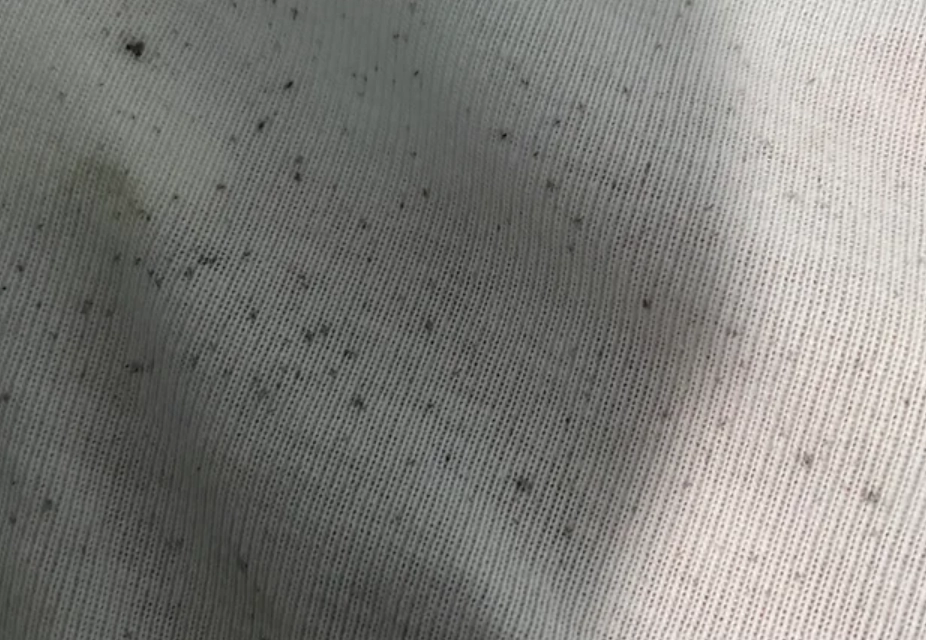 漂白水清洗內褲